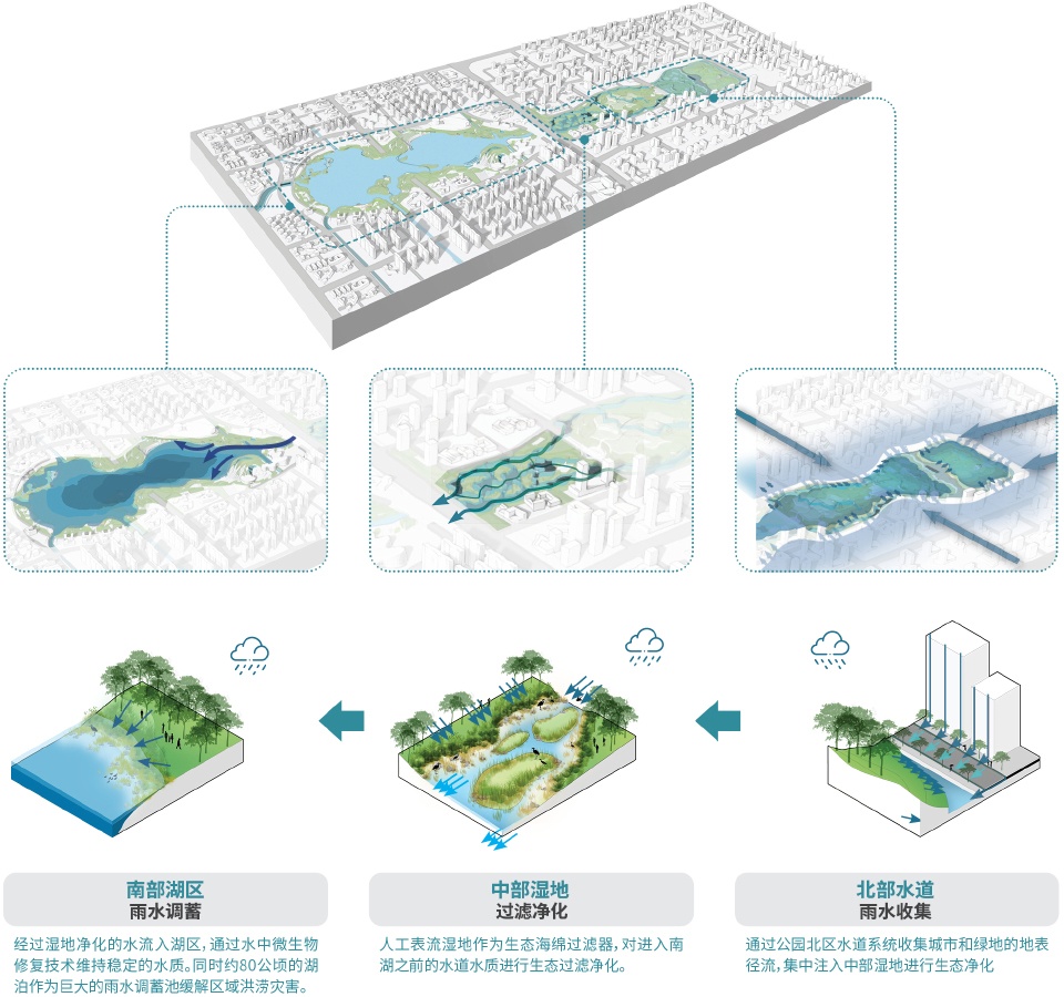 zi lang park china by aecom