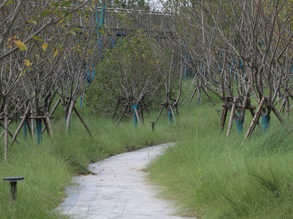 zi lang park china by aecom 1