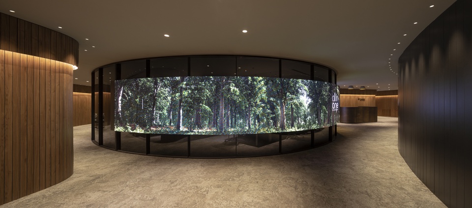 all in one by francesc rife studio