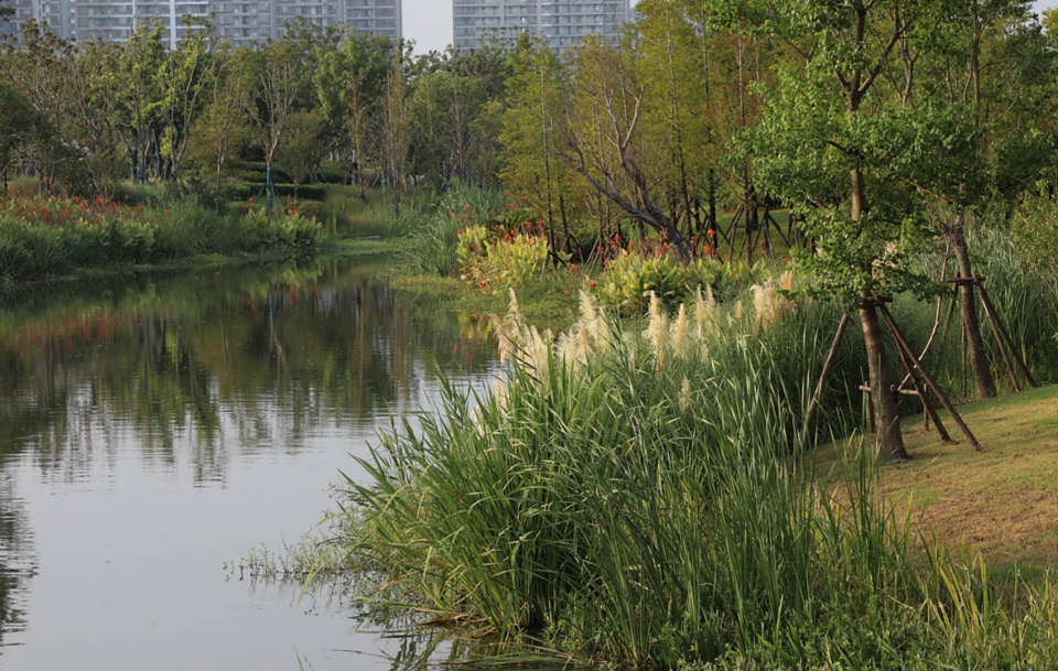 zi lang park china by aecom