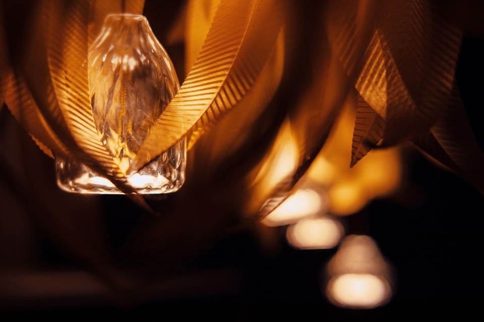 automne collection by larose guyon