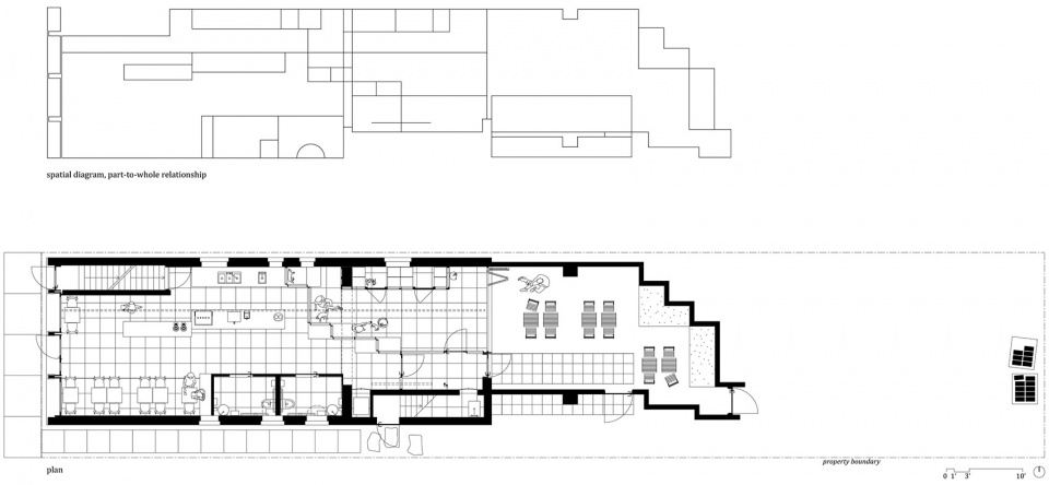 cat cafe in buffalo by davidson rafailidis