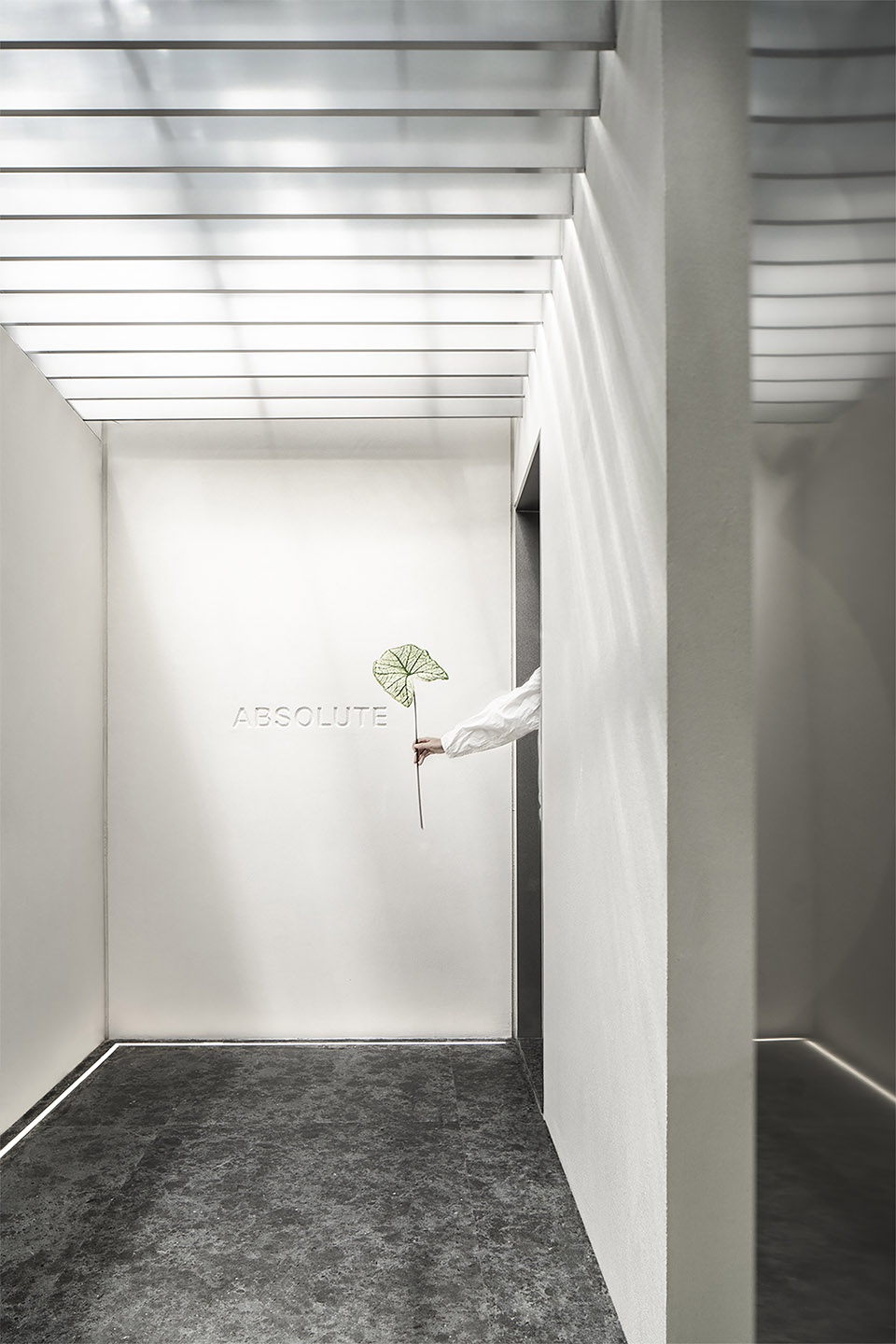 Absolute Flower Shop MDO