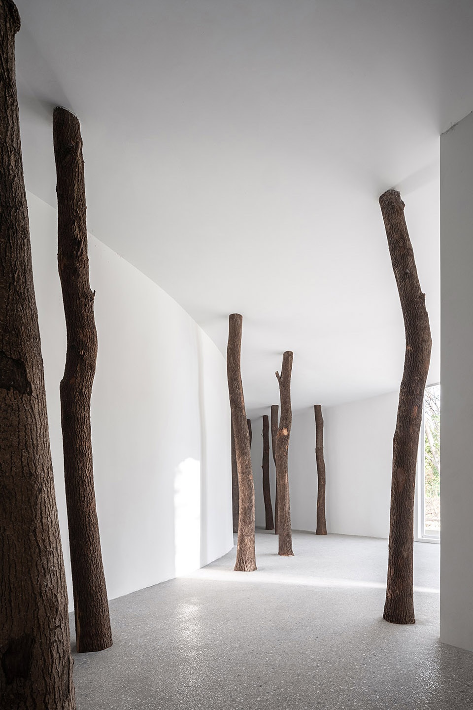 No. 5 Forest JCD.interior design 1