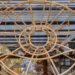 藤计划 / Enter Projects Asia
