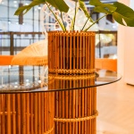 藤计划 / Enter Projects Asia