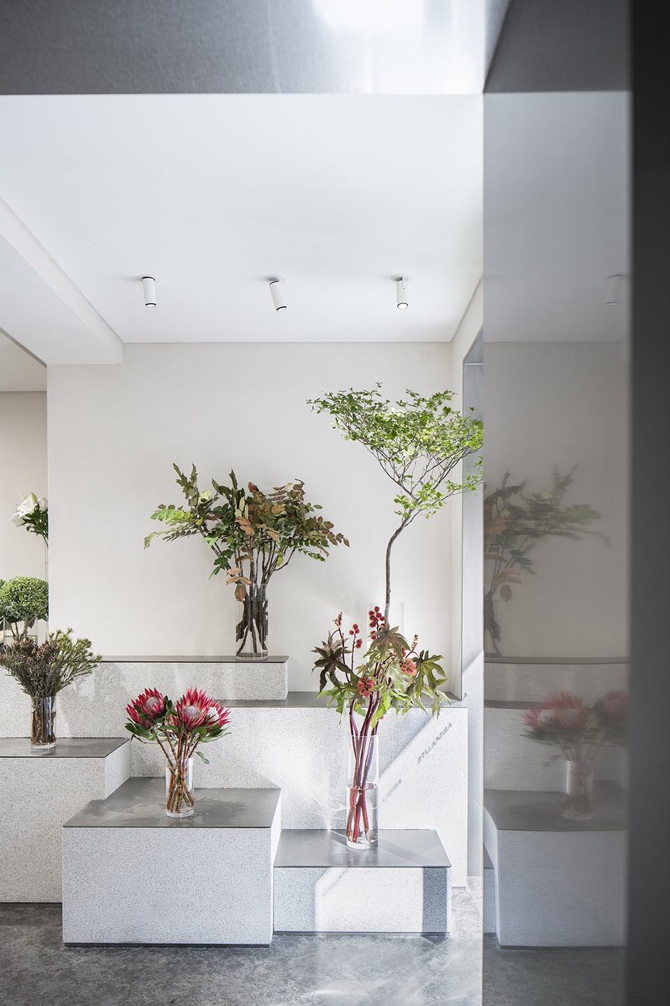 Absolute Flower Shop MDO