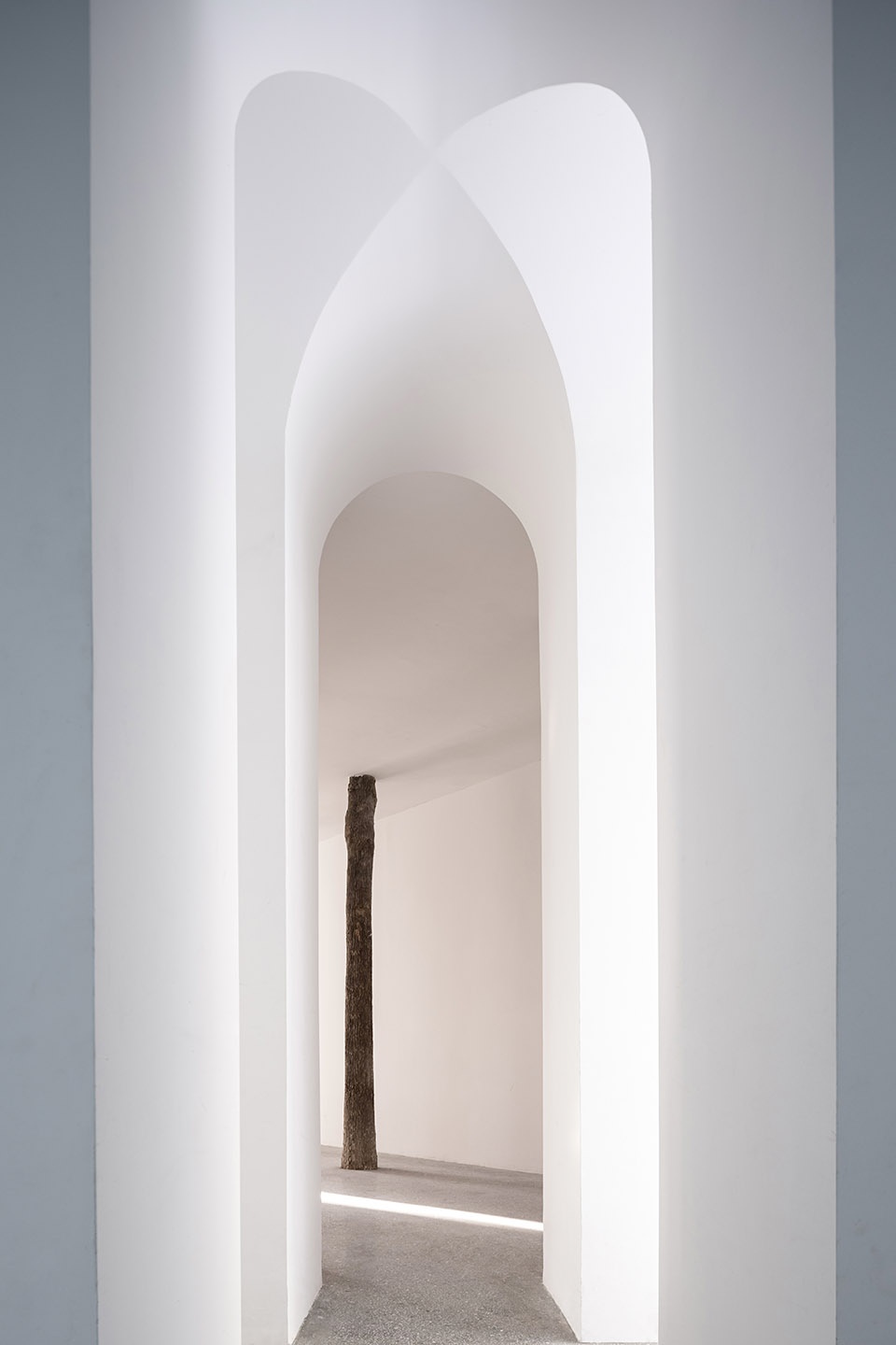 No. 5 Forest JCD.interior design