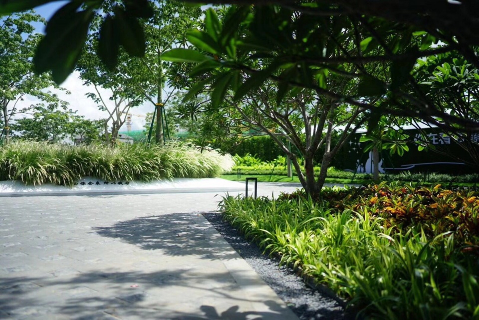 Sunny walk in Poly Shallow Sea GVL