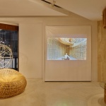 藤计划 / Enter Projects Asia