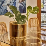 藤计划 / Enter Projects Asia