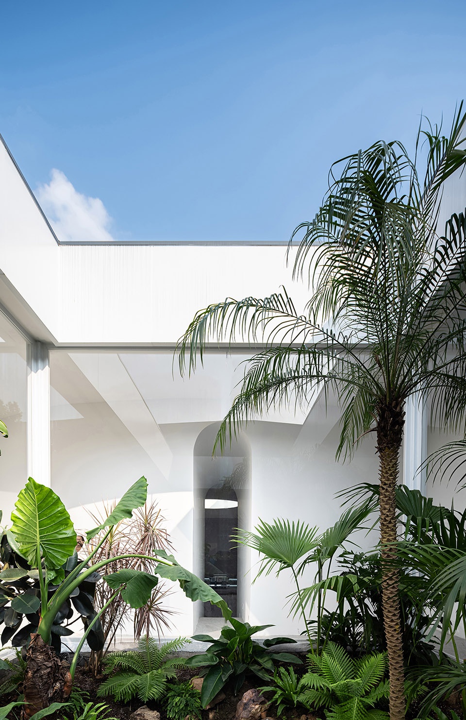 No. 5 Forest JCD.interior design