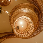 藤计划 / Enter Projects Asia