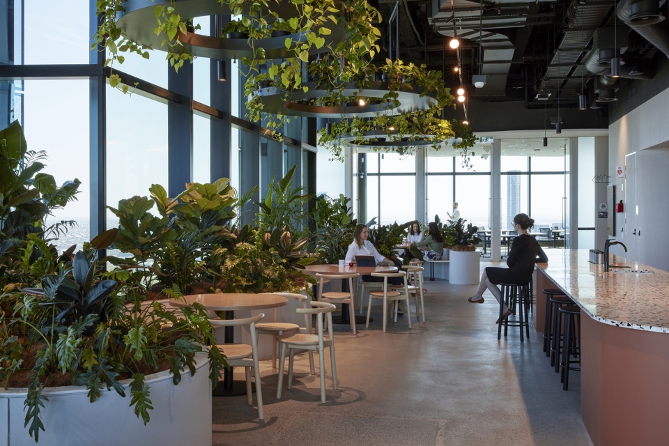 transurban george by cox architecture