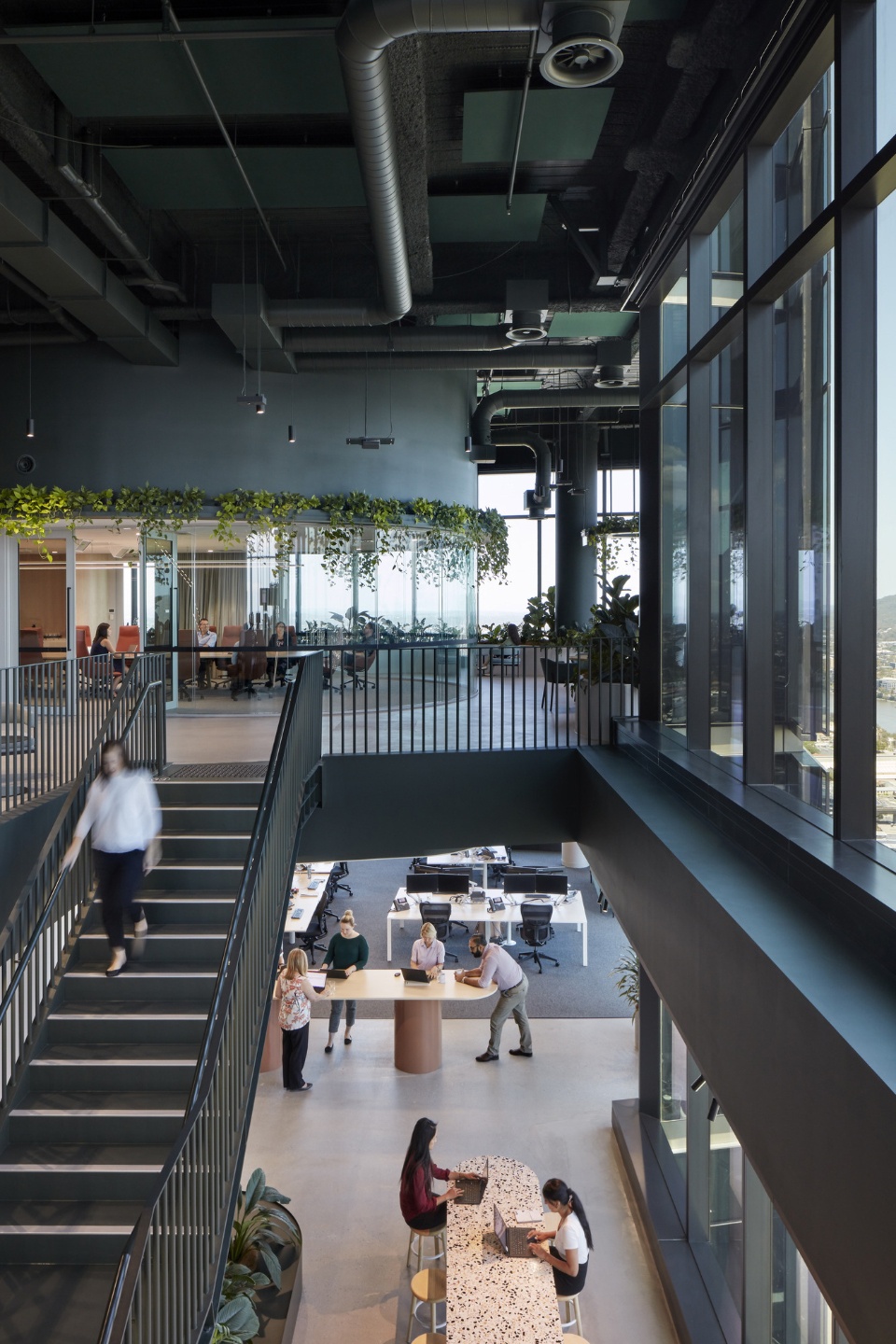 transurban george by cox architecture