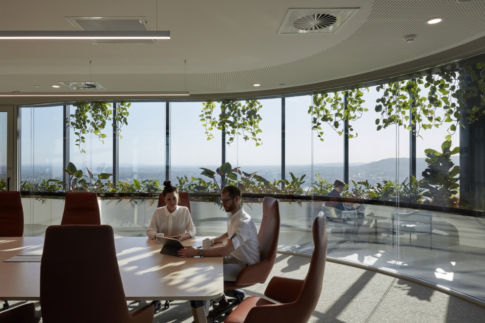 transurban george by cox architecture