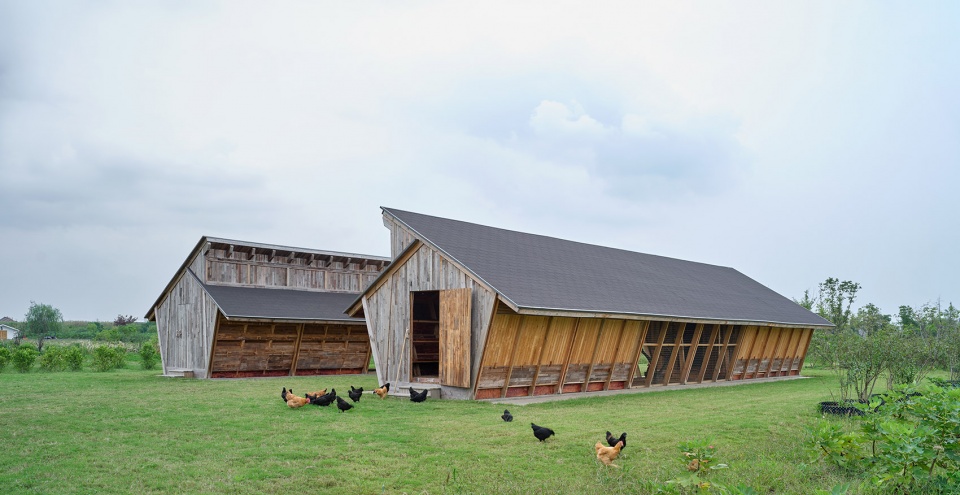 naera hotel chicken coop china by leeko studio