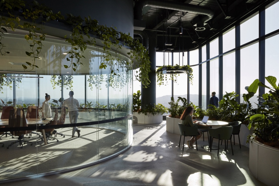 transurban george by cox architecture