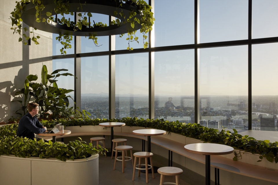 transurban george by cox architecture