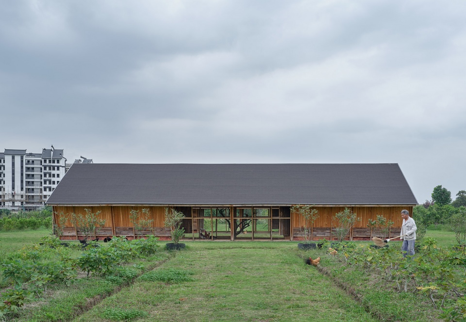 naera hotel chicken coop china by leeko studio