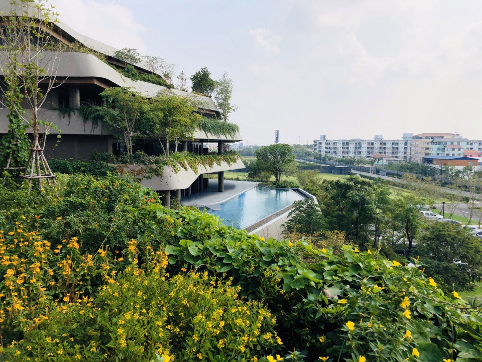 Jin Wellbeing County by Shma