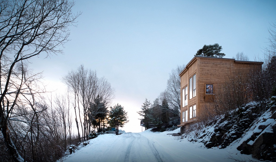 Zieglers Nest by Rever Drage Architects