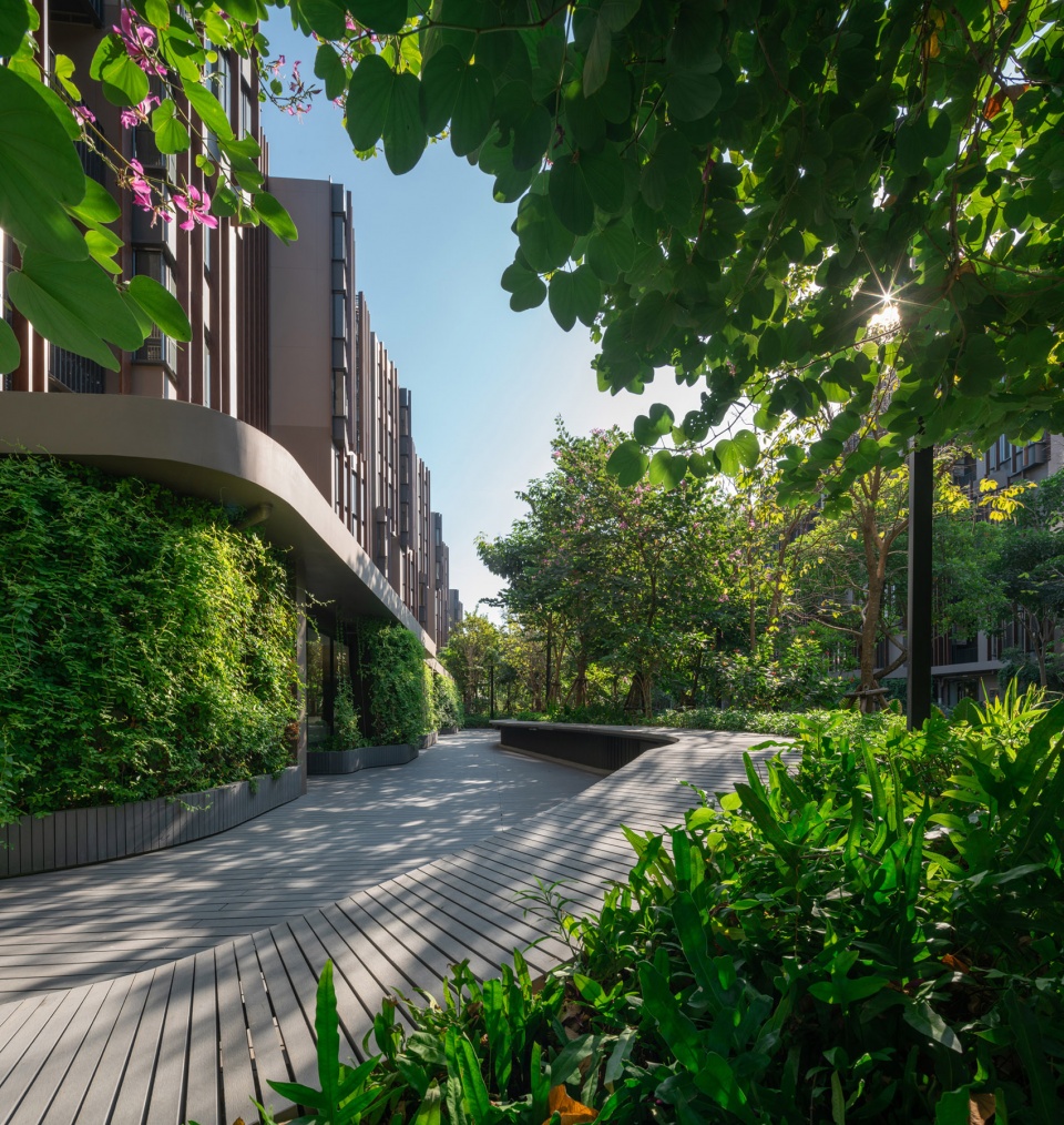 Jin Wellbeing County by Shma