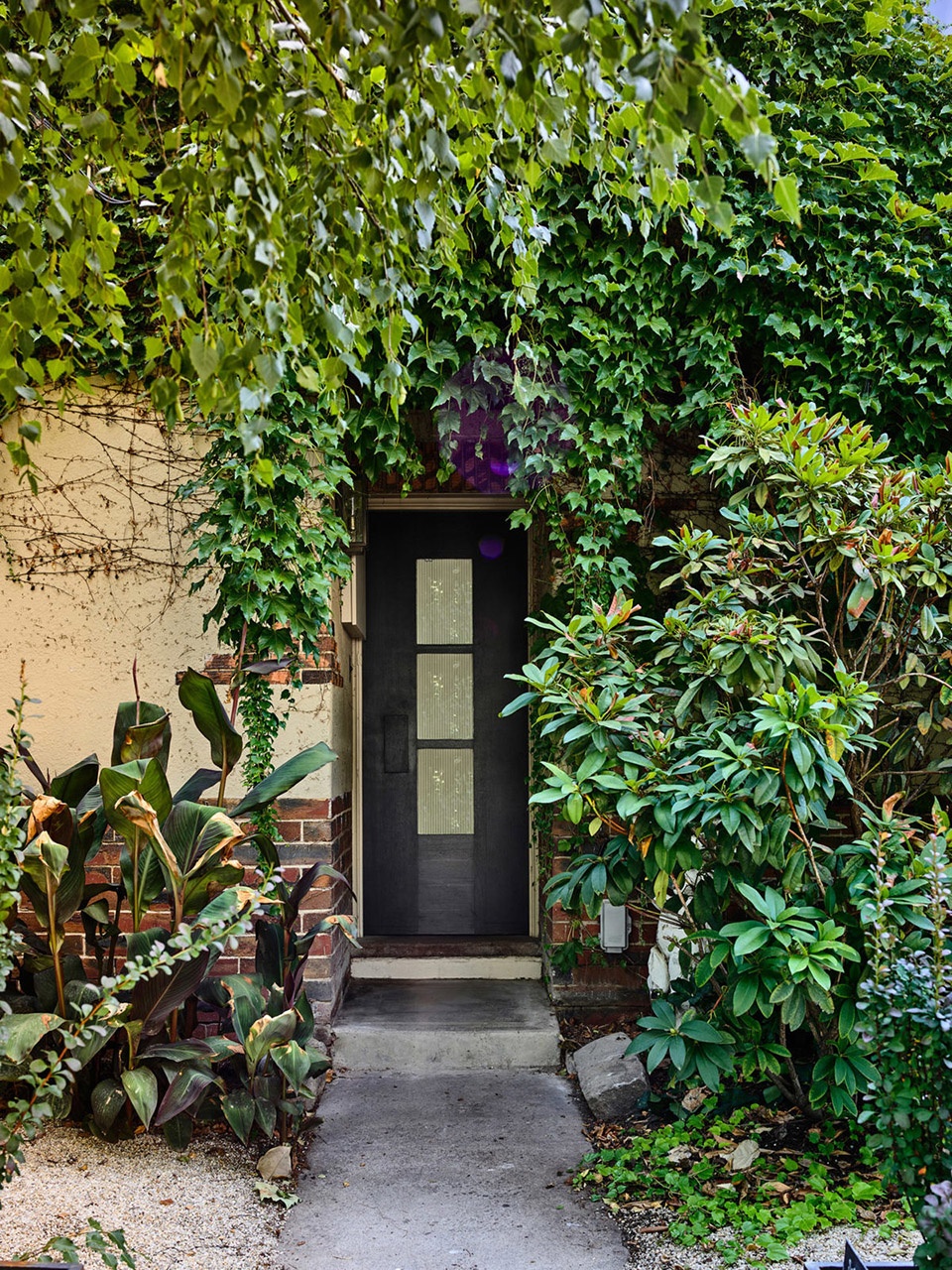 powell street house by robert simeoni architects