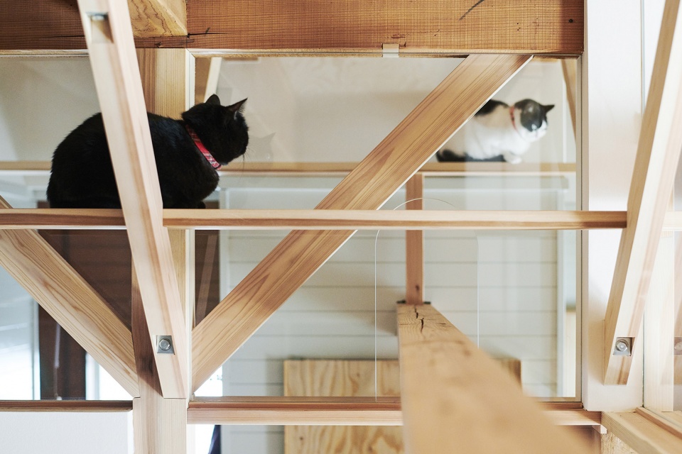 gooood archive houses in japan