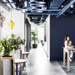 SKYBOX办公室，以色列 / Roy David Architecture