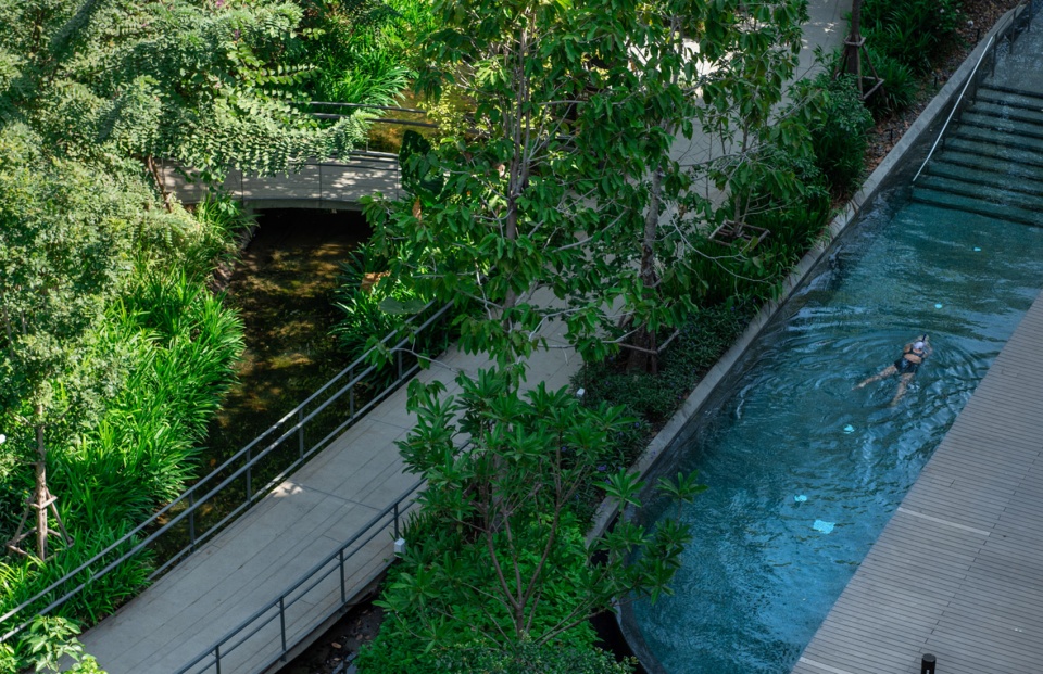 P11 Exercising in the pool amidst greenery