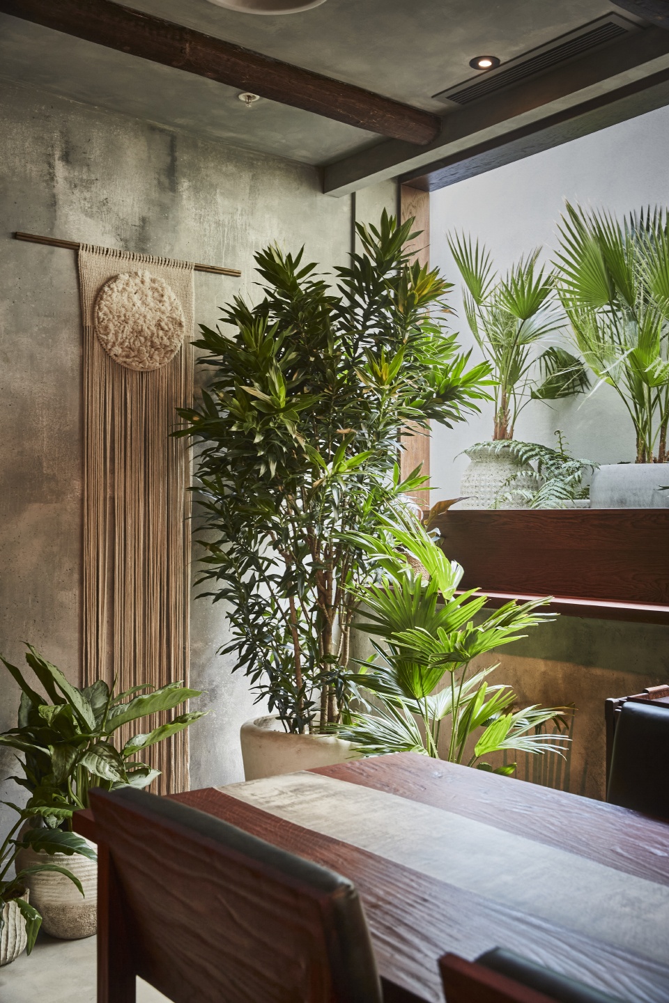 restaurant kol by a nrd studio