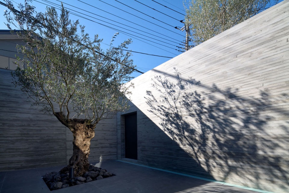 NOBLE APOLLO Architects Associates