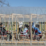 “绿色基地”装置，日本 / UENOA