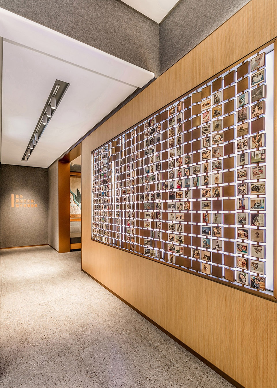 companion heytea pet friendly theme store china by und design studio