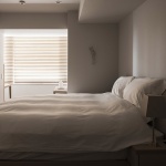Aoyama405公寓，东京 / Hiroyuki Ogawa Architects + Buttondesign