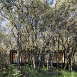 MINIMOD林中小屋，巴西 / MAPA Architects