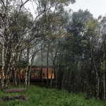 MINIMOD林中小屋，巴西 / MAPA Architects