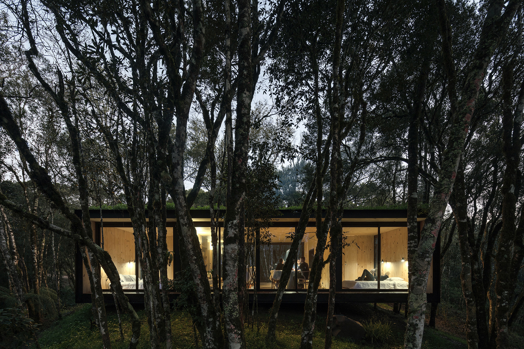 minimod curucaca by mapa architects