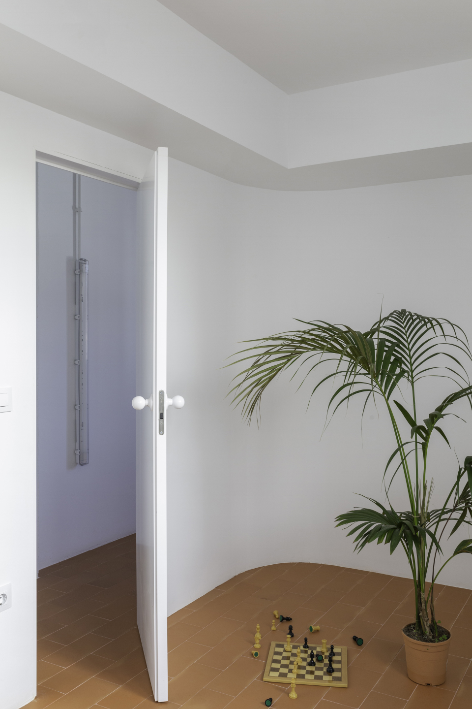 el patio en casa by martin pelaez