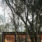 MINIMOD林中小屋，巴西 / MAPA Architects