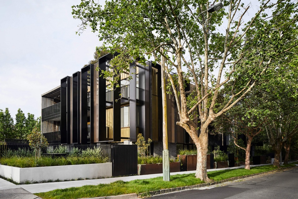 the auburn apartments by splinter society architecture