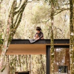 MINIMOD林中小屋，巴西 / MAPA Architects