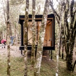 MINIMOD林中小屋，巴西 / MAPA Architects