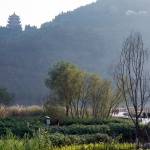 Sichuan Nanbu Water City Yuji Island Park, China by BLVD International