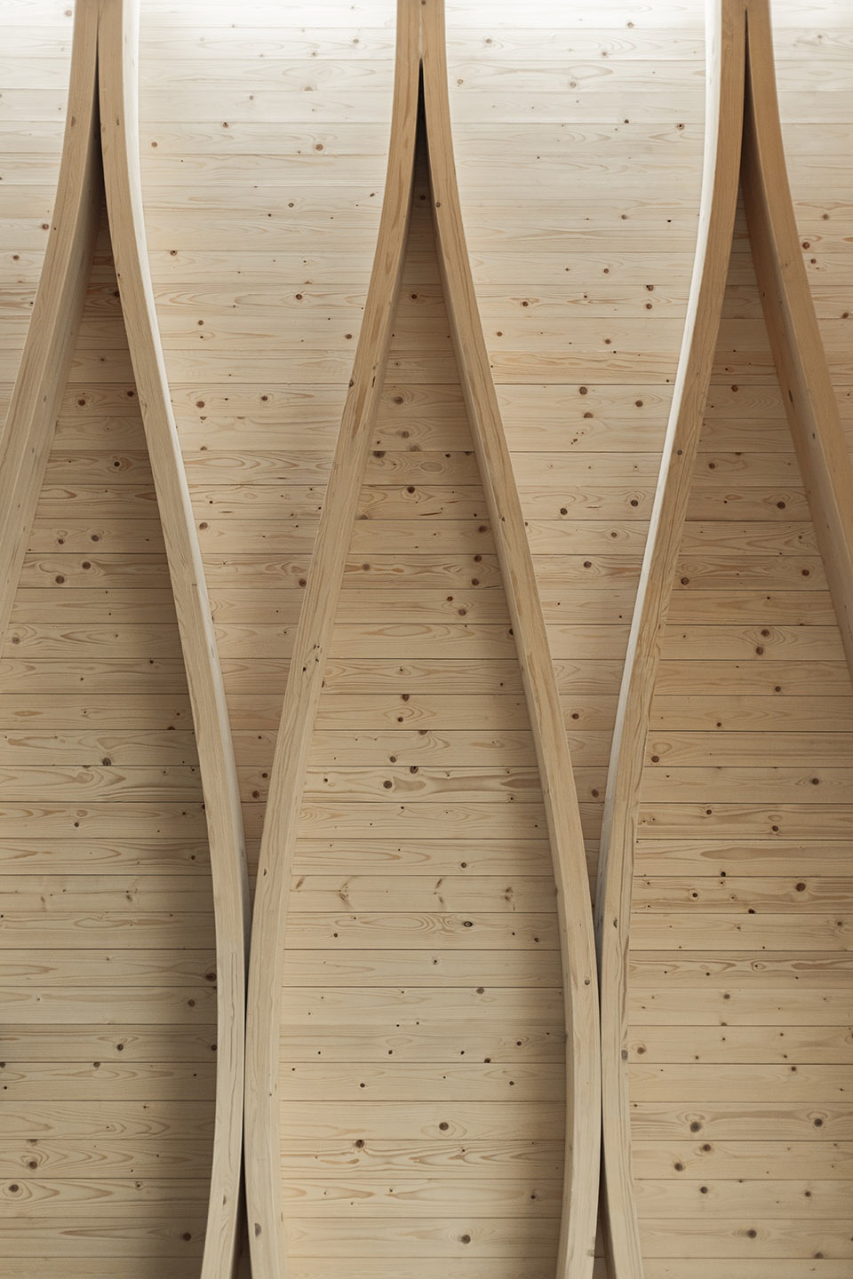 forest chapel Architecturestudio NOAN