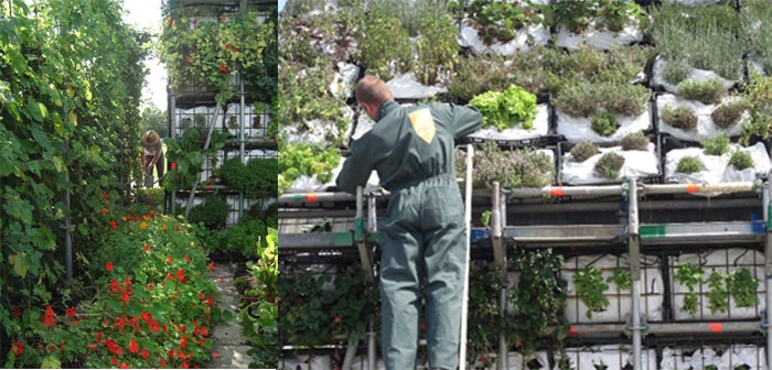 gooood archive Urban Agriculture