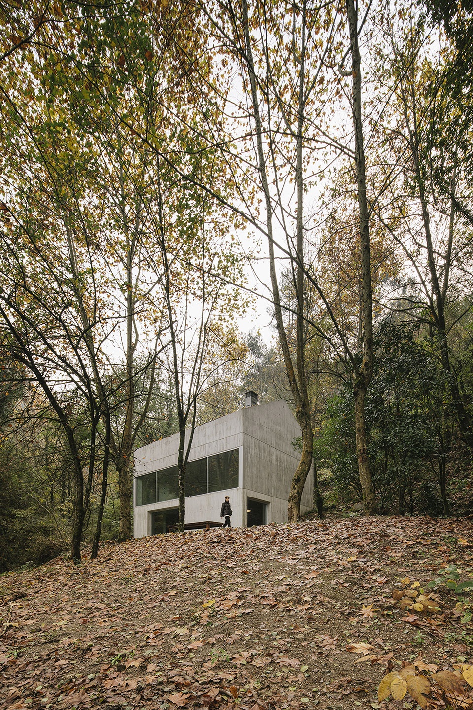 Casa na Caniçada by Carvalho Araújo