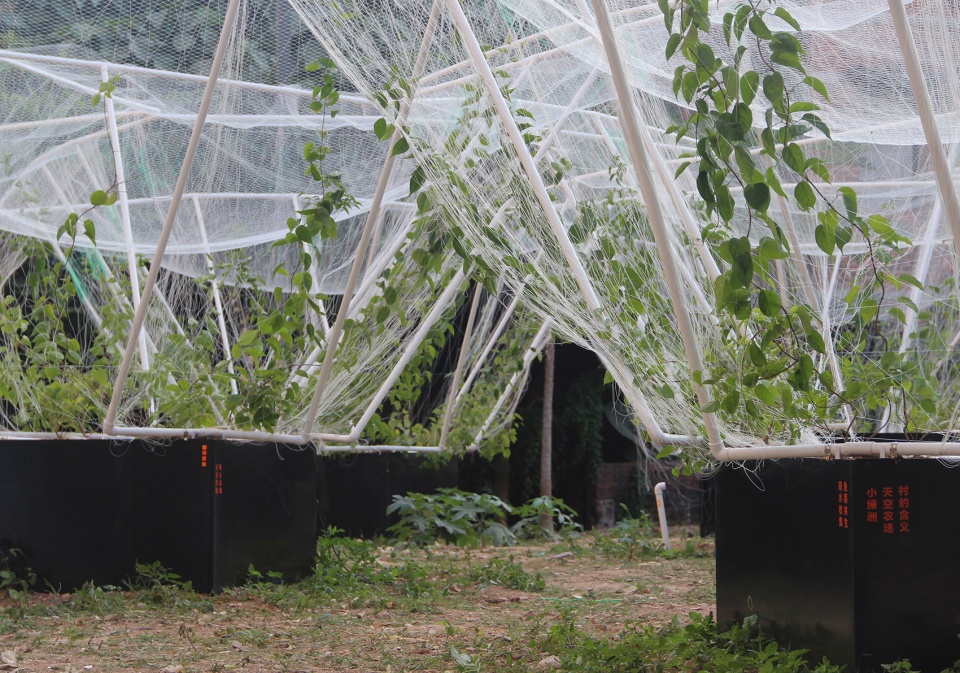 gooood archive Urban Agriculture
