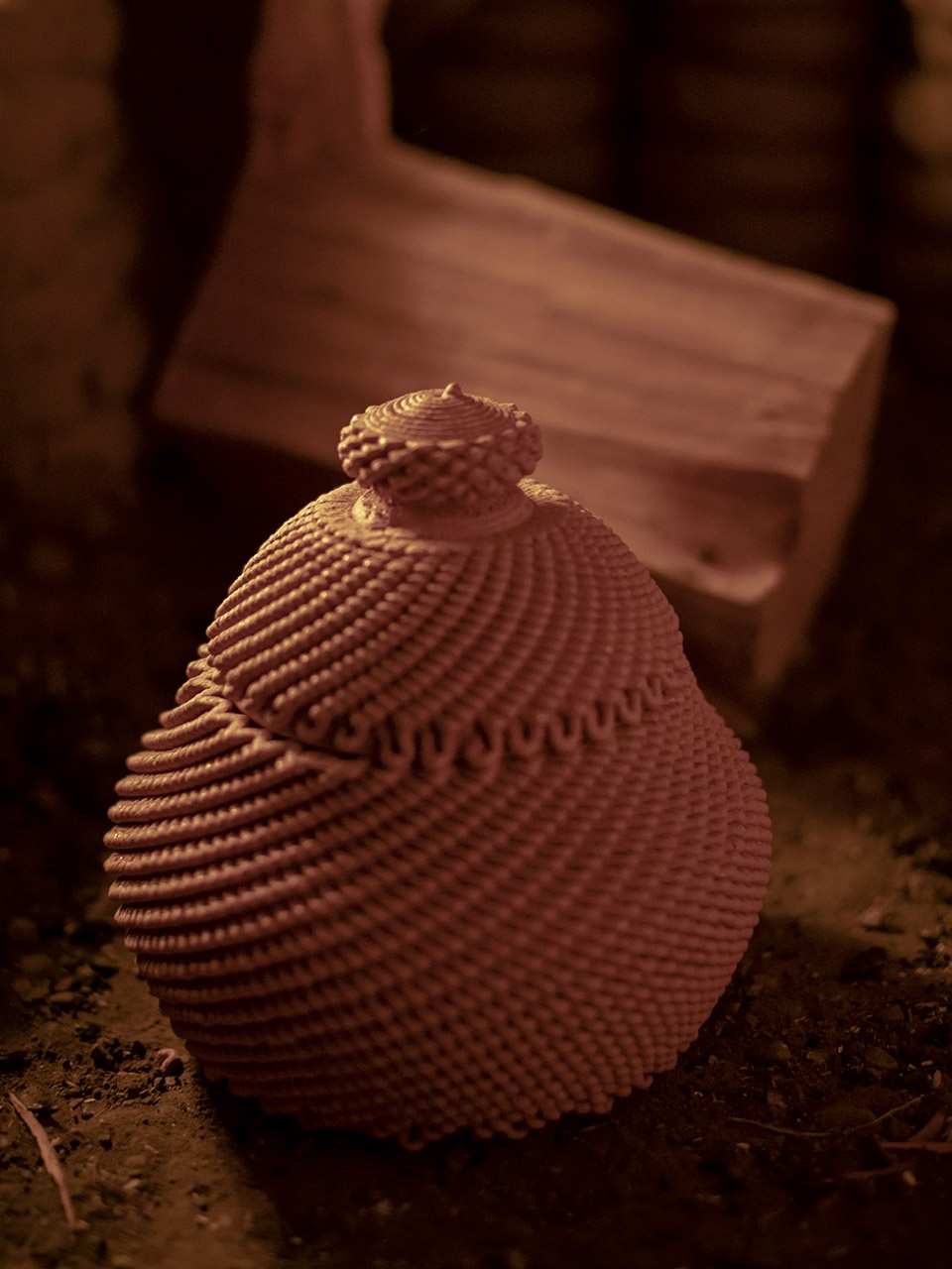 Casa Covida by Emerging Objects 3D Potter